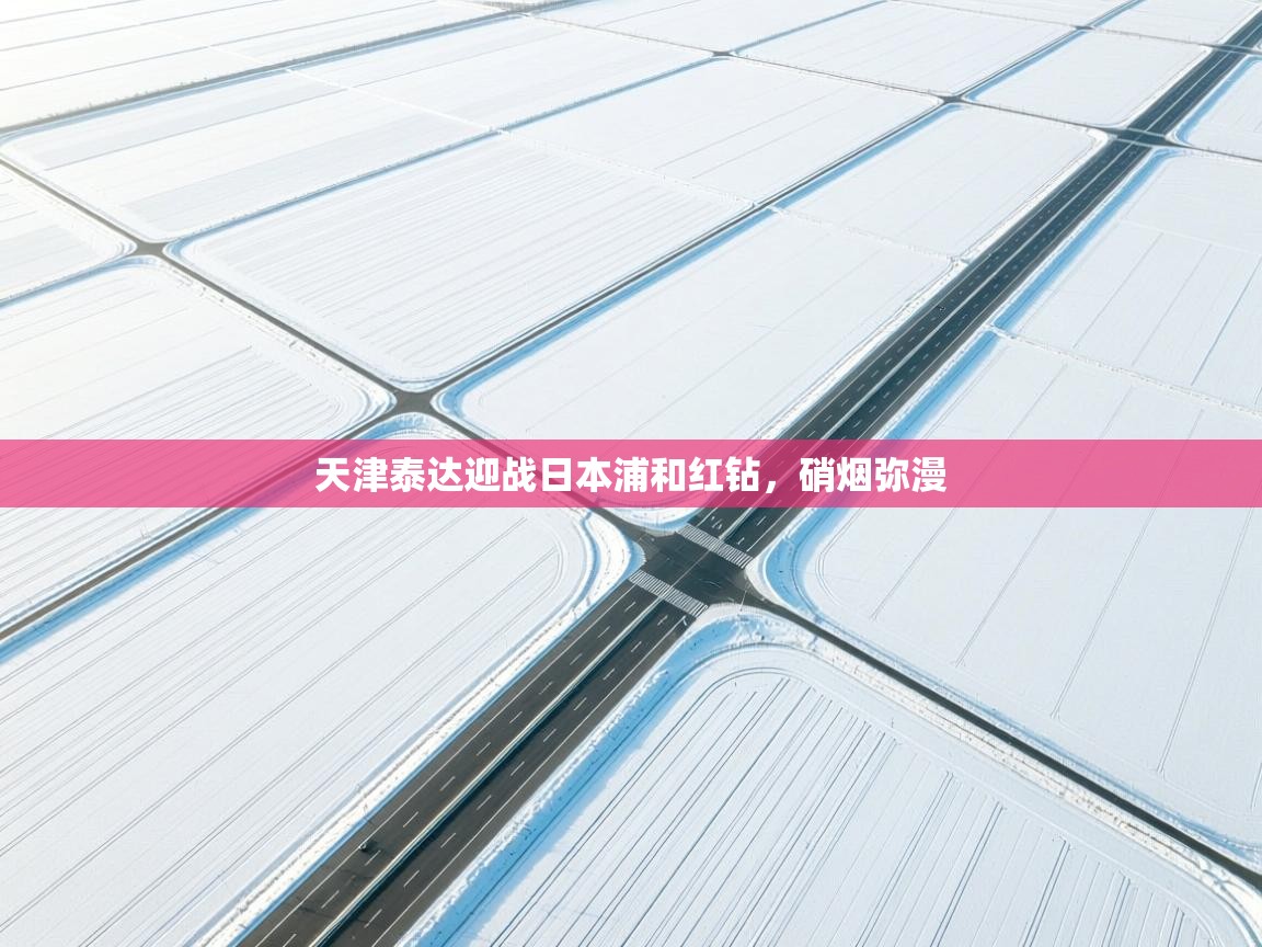 天津泰达迎战日本浦和红钻，硝烟弥漫