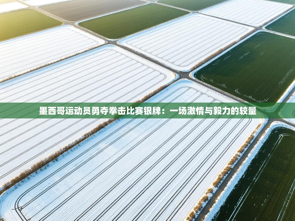 墨西哥运动员勇夺拳击比赛银牌：一场激情与毅力的较量